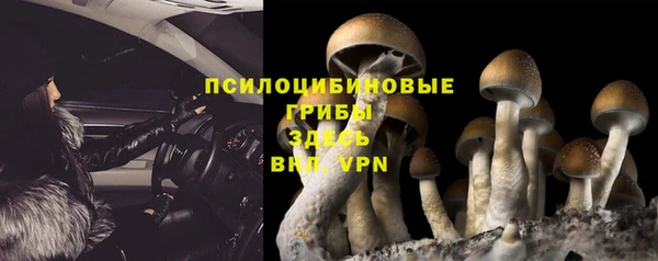 хмурый Нягань