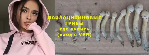 хмурый Нягань